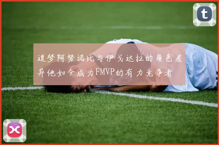 追梦阿努诺比与伊戈达拉的角色差异他如今成为FMVP的有力竞争者